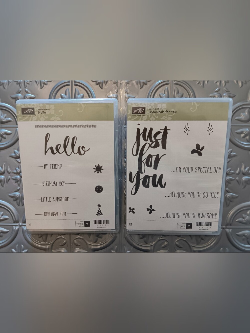 Stampin Up friendship Hello #141243 Botanicals For You #141237 2 stamp kit lot